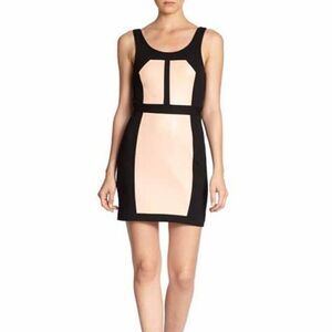 NWT Rebecca Minkoff Stella Leather Trim  Dress